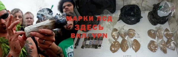 кокс Майский